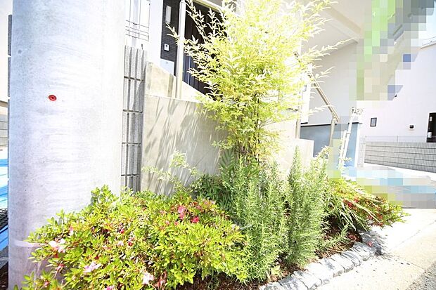 玄関周辺はスペースがございますので、植栽を楽しめそうですね♪