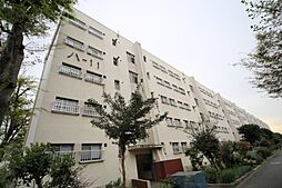 多摩川住宅ハの11号棟