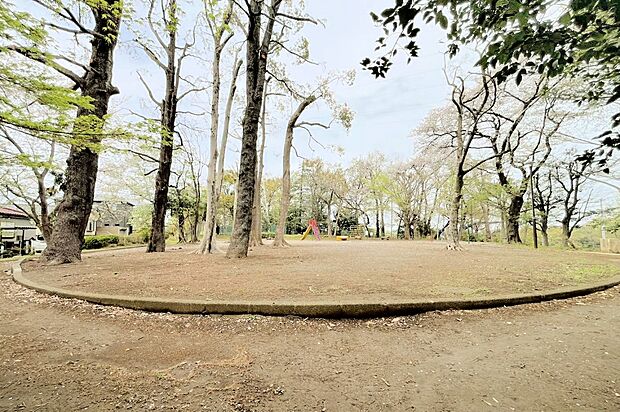 公園 100m 生田緑地南遊園