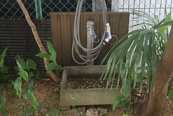 お庭には、立水栓がございます。
