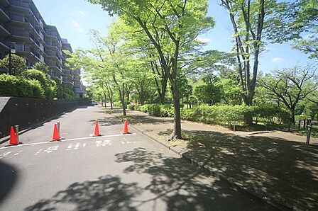 植え込みなどの有る、共用スペースとなっております♪