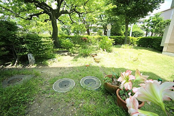 植え込みなどの有る、共用スペースとなっております♪