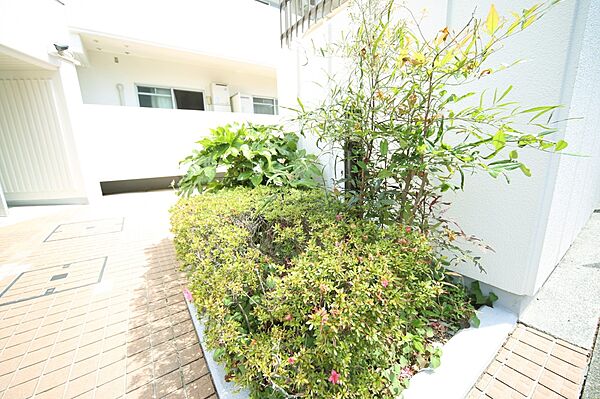 マンションの敷地内には、植栽が施されております♪