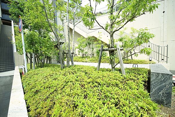 マンションの敷地内には、植栽が施されております♪