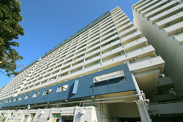 外観：314002796564