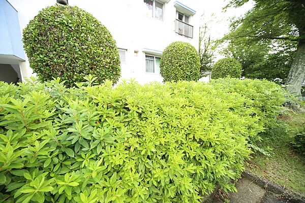 マンションの敷地内には、植栽が施されております♪