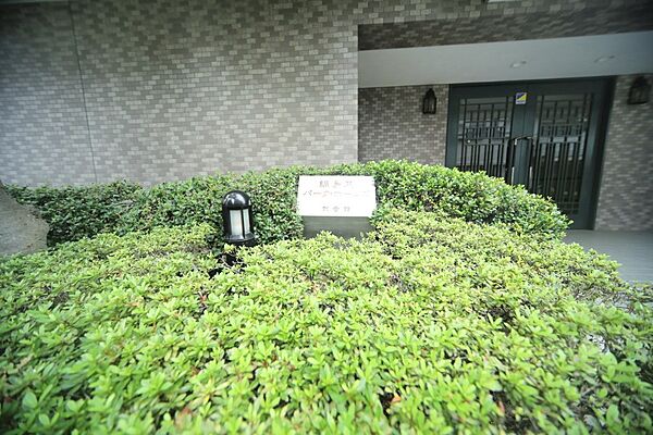 マンションの敷地内には、植栽が施されております♪