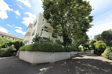 マンションの敷地内には、植栽が施されております♪