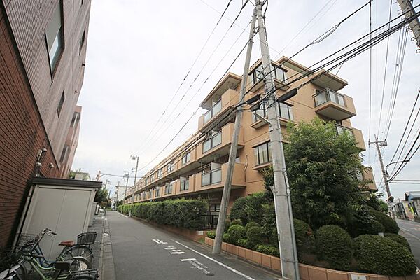 外観：313004853255