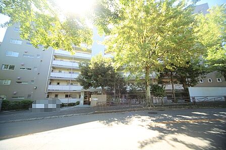 周辺は緑豊かで、閑静な住環境となっております♪