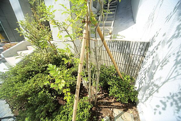 玄関横には、ちょっとした庭スペースがございます♪