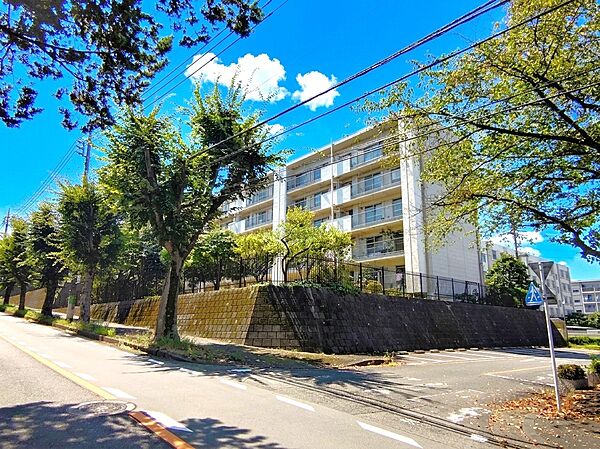 外観：313004898969