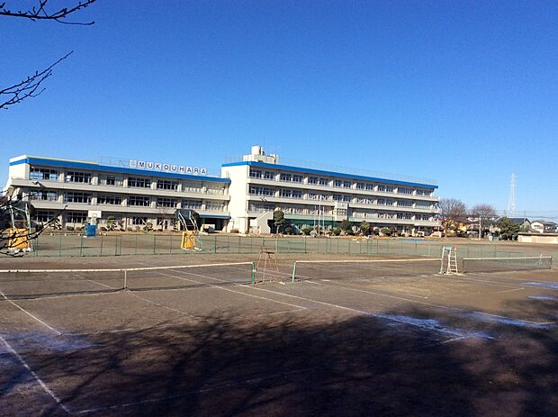 向原中学校約450m