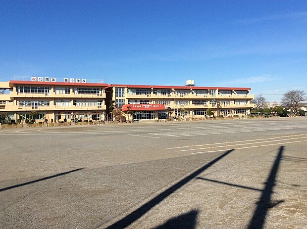 扇小学校約800ｍ