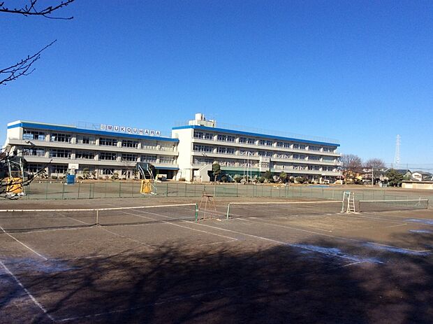 向原中学校約1200ｍ