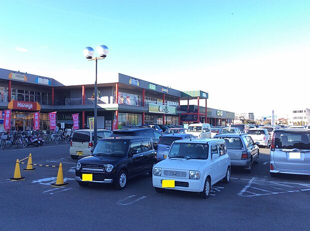 グリーンガーデン武蔵藤沢(コープ・ウエルシア・ダイソー他)約890m