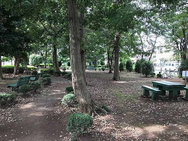 ならの木公園約240m