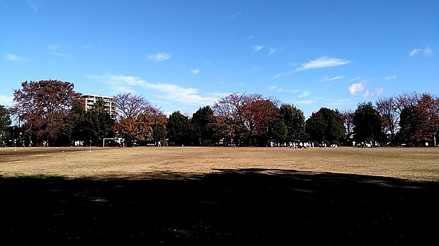 富士見公園約140ｍ
