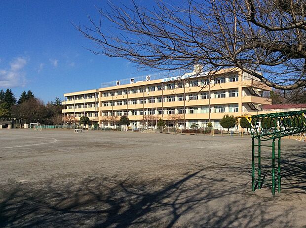 東町小学校約740m