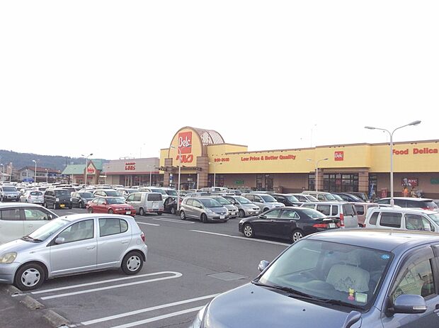 野田モール(ベルク・ケンタッキー・マツモトキヨシ・しまむら・バースデイ・かわい歯科他)約1310ｍ