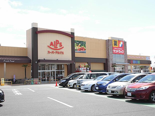 スーパーアルプス下藤沢店約1170ｍ