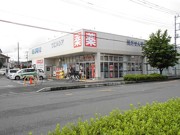 ウエルシア扇台店約1300m