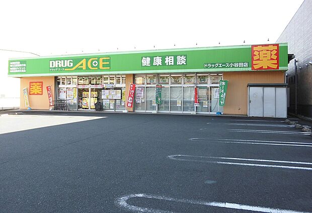 ドラッグエース小谷田店約1140ｍ