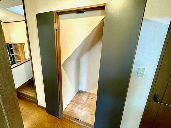 クリーナーなどの収納に便利な階段下収納です。