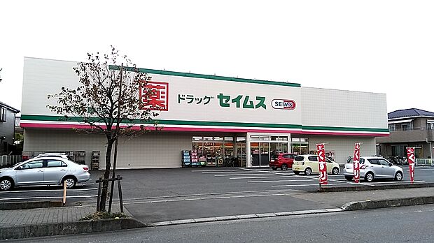 セイムス下藤沢店約130ｍ