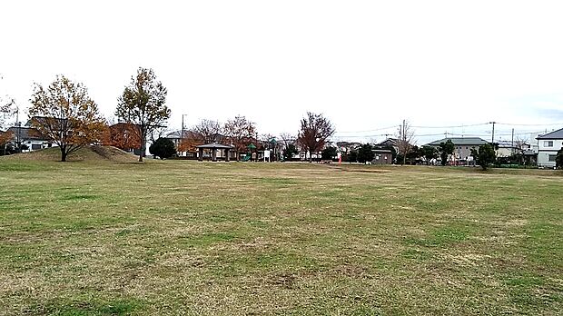 藤沢中央公園約330ｍ