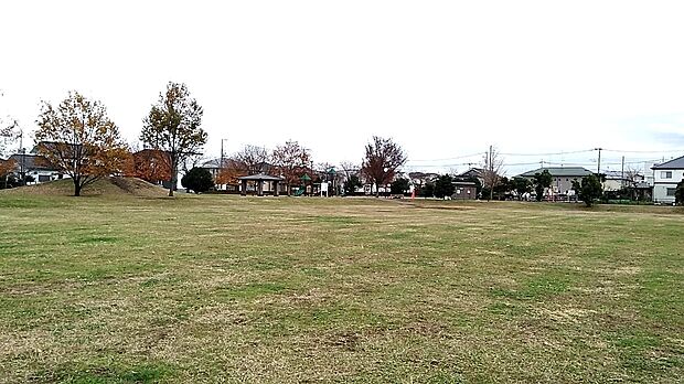 藤沢中央公園約330ｍ