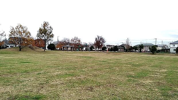 藤沢中央公園約330ｍ