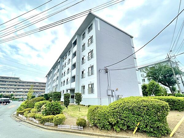 棟間隔が広く、陽当たり良好なマンションです