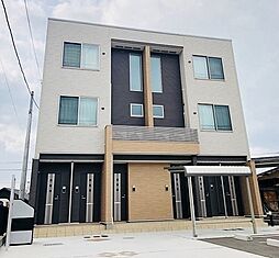 ピノ・デーア 202