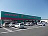 周辺：その他「コスモスまで600m」