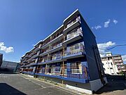  4階 築43年2ヶ月の賃貸物件