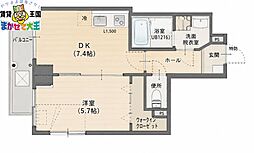 ケイズ・ヴィラ 6階/-