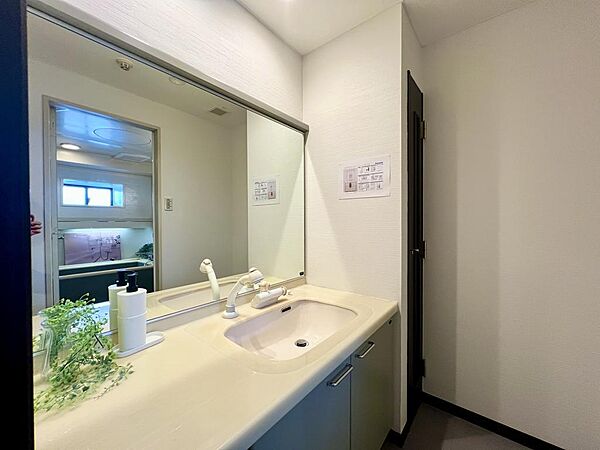 前面鏡が大きく毎日に身だしなみチェックに役に立ちます