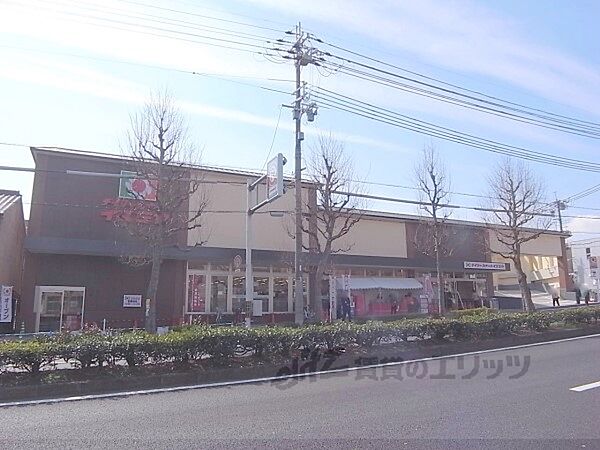 画像21:イズミヤ　千本北大路店まで620メートル