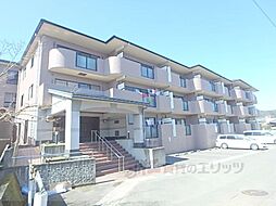 ミレニアム加納