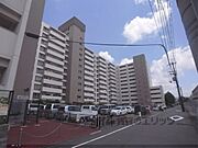 東寺駅より徒歩8分 11階 築54年6ヶ月の賃貸物件