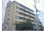 シャトレ桂 3階 築40年11ヶ月の賃貸物件