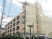 神宮丸太町駅より徒歩3分 3階 築49年7ヶ月の賃貸物件