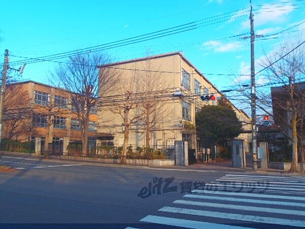 周辺：加茂川中学校まで1900メートル