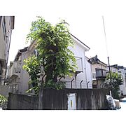西新宿五丁目駅より徒歩3分 2階 築34年9ヶ月の賃貸物件