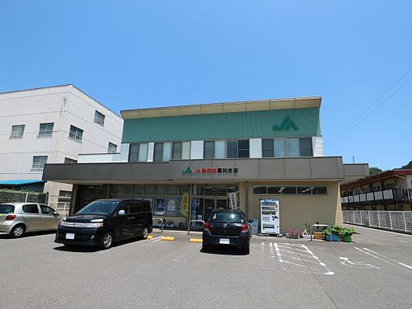 画像30:【銀行】JA静岡市藁科支店まで765ｍ