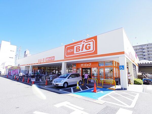 画像6:【スーパー】ザ・ビッグ 静岡新川店まで826ｍ