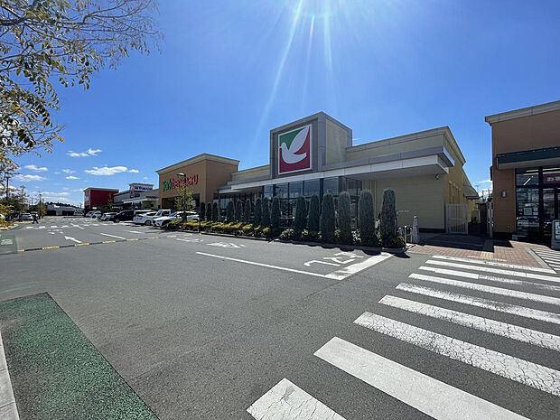 フォレストモール石岡まで約1,500m