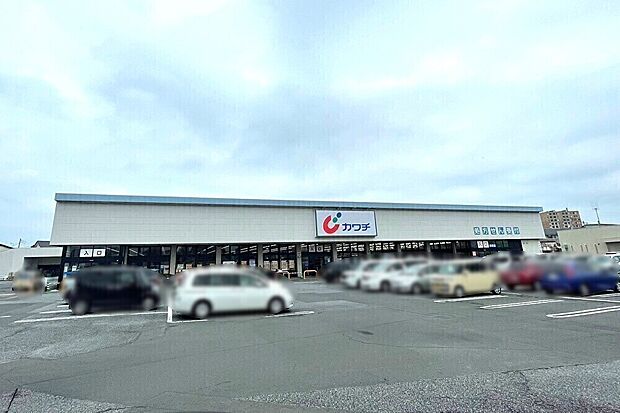 カワチ薬品赤塚店まで約1,000m