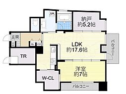 ハイデンス梅ヶ枝 12階/-